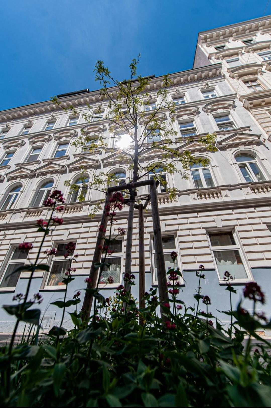 Vienna My City Apartment 1 Bedroom ภายนอก รูปภาพ