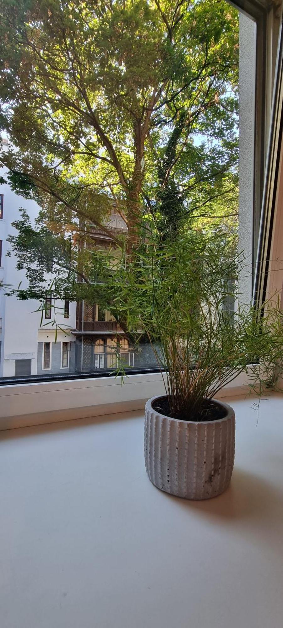 Vienna My City Apartment 1 Bedroom ภายนอก รูปภาพ